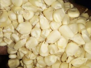 Latest Price of Maize Per ton in Nigeria