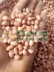 Price of groundnut in Nigeria