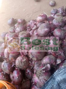 Price of bag of onions in Jos